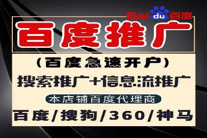 百度竞价排名服务：成功案例解析与优化策略